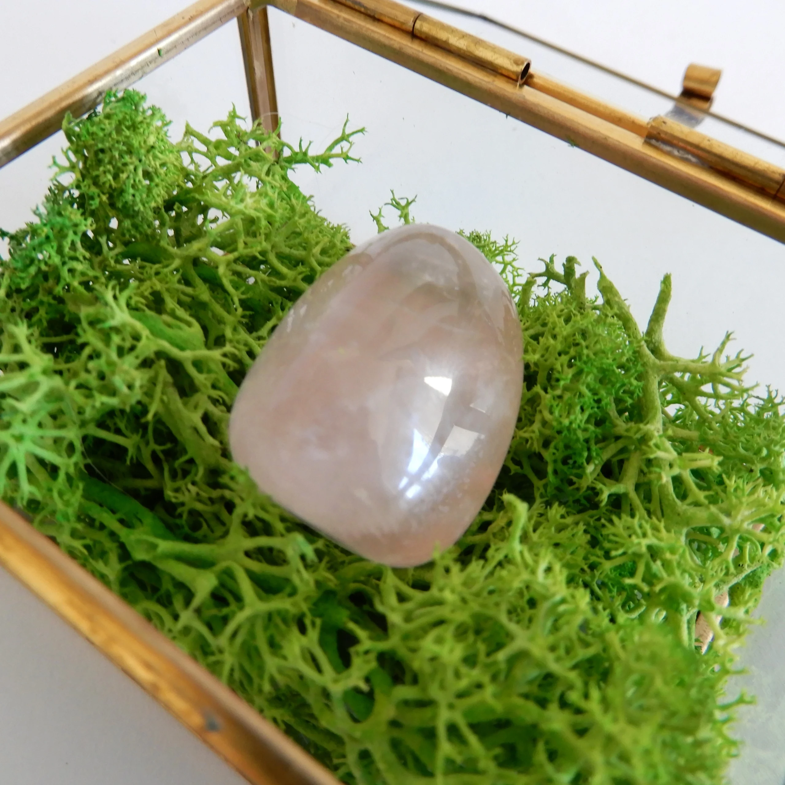 Mini kristalni terarij-Roževec - slika 2