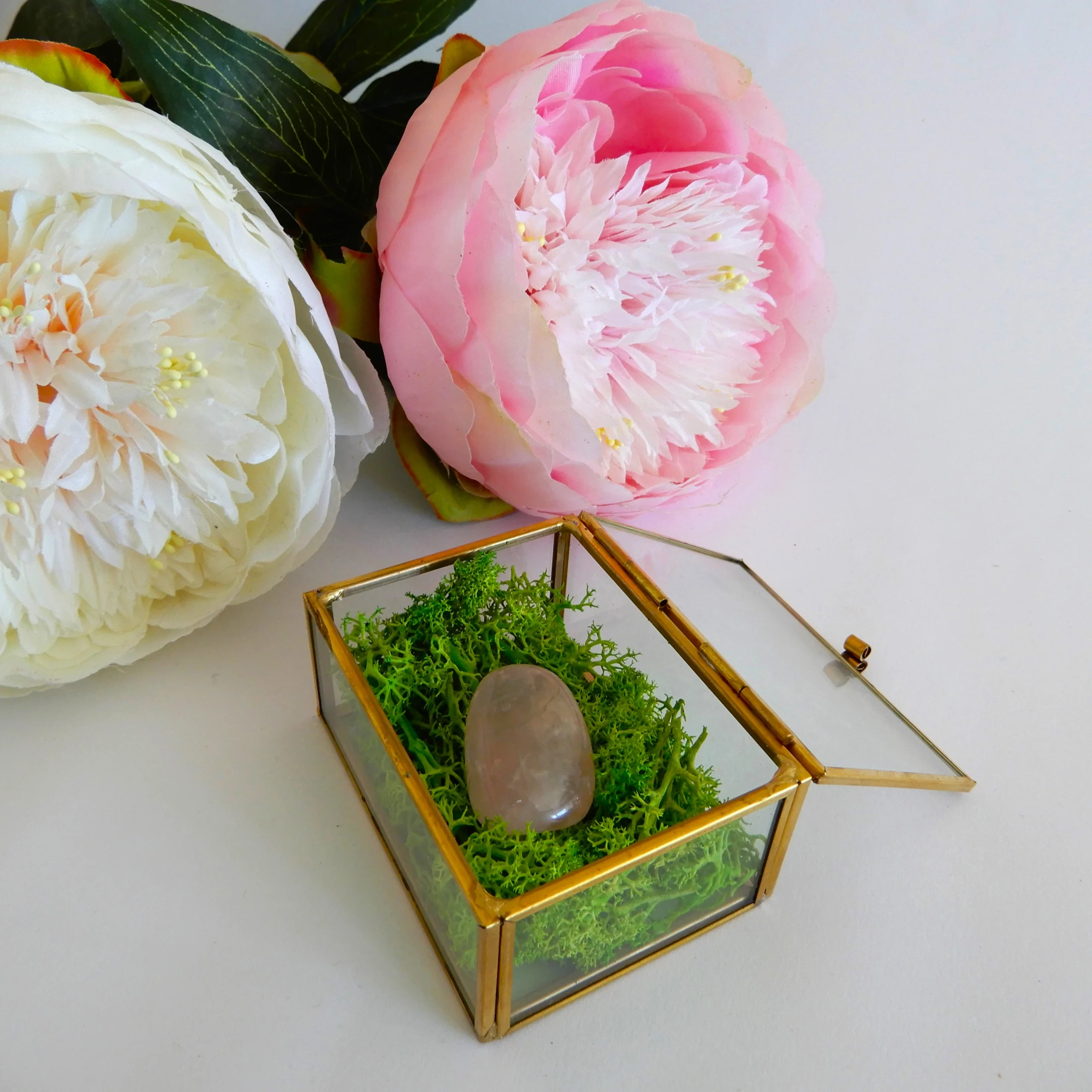 Mini kristalni terarij-Roževec